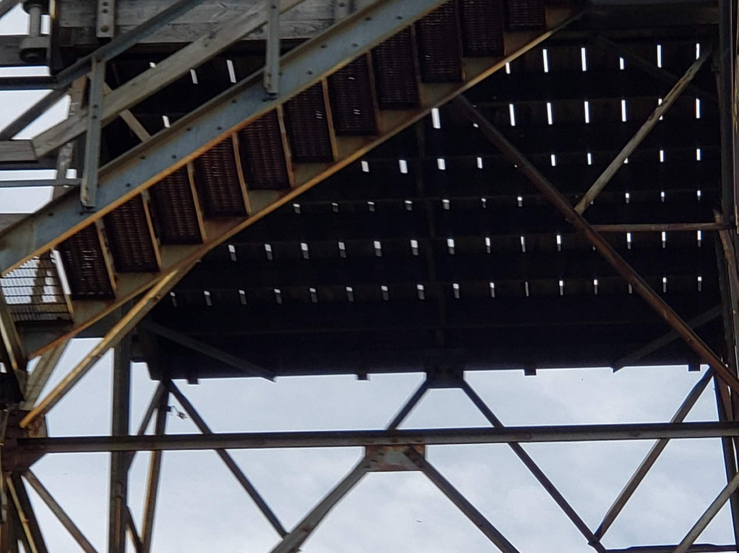 Monongahela National Forest-Elkins必去景点