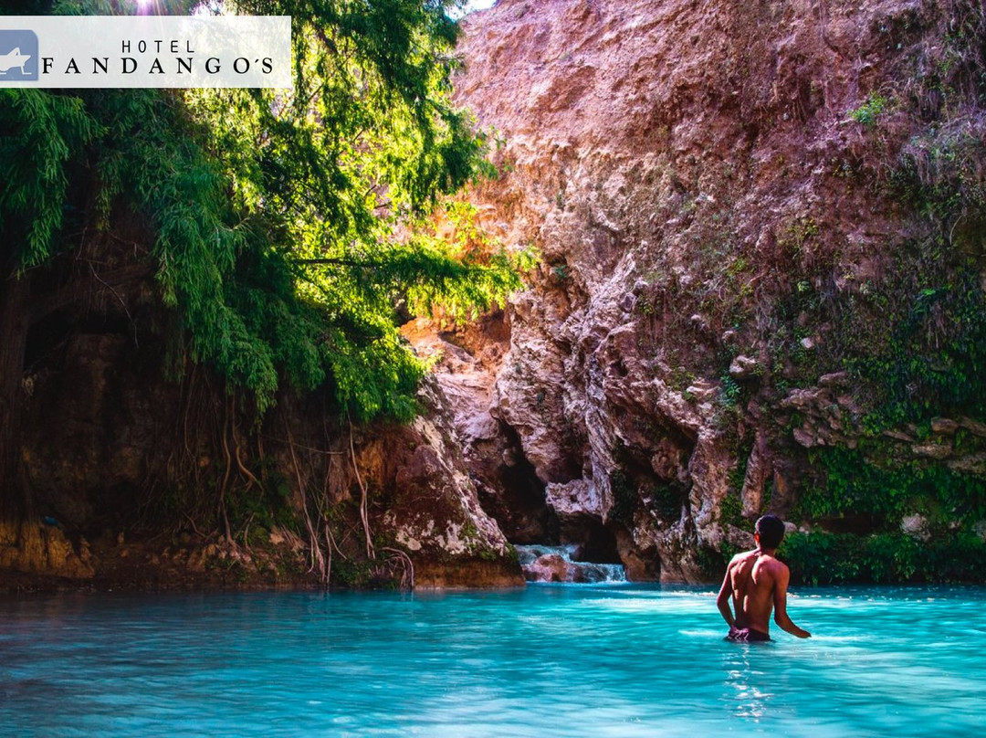 Hotel Fandangos主图