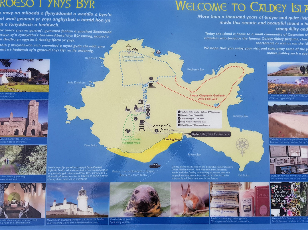 Caldey Abbey-Caldey Island必去景点