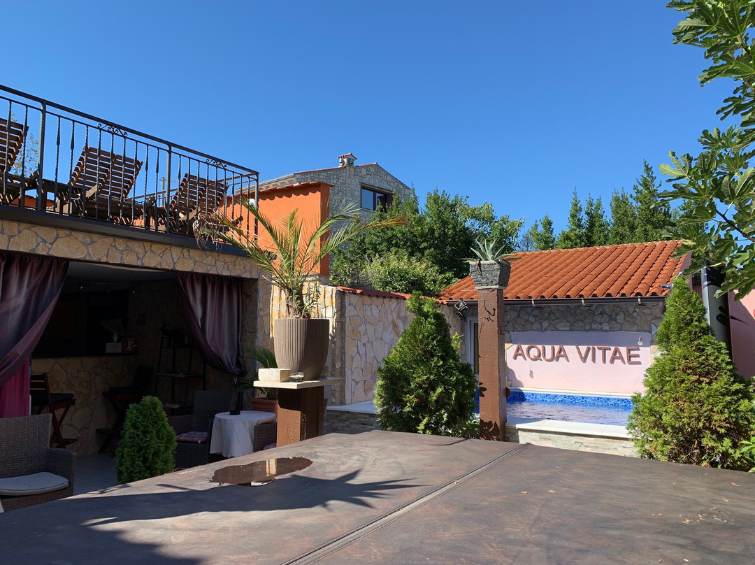 Villa Adriana主图