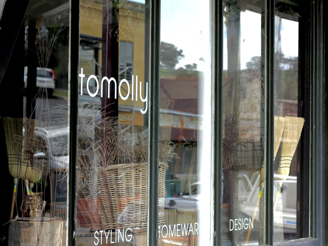 Tomolly景点图片