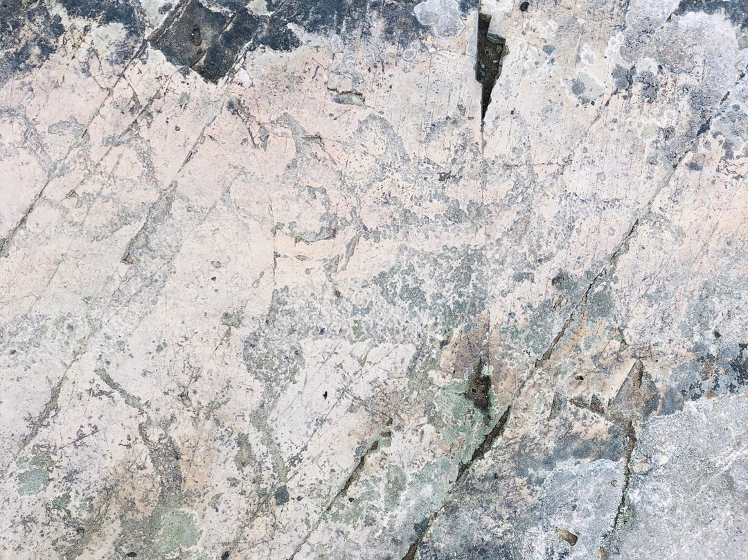 Petroglyphs Park Bichiktu-Boom景点图片