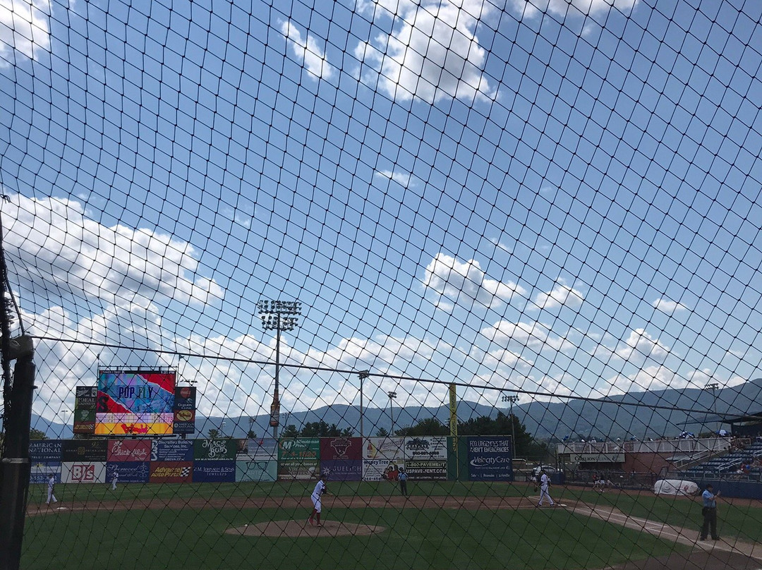 Carilion Clinic Field at Salem Memorial Ballpark景点图片