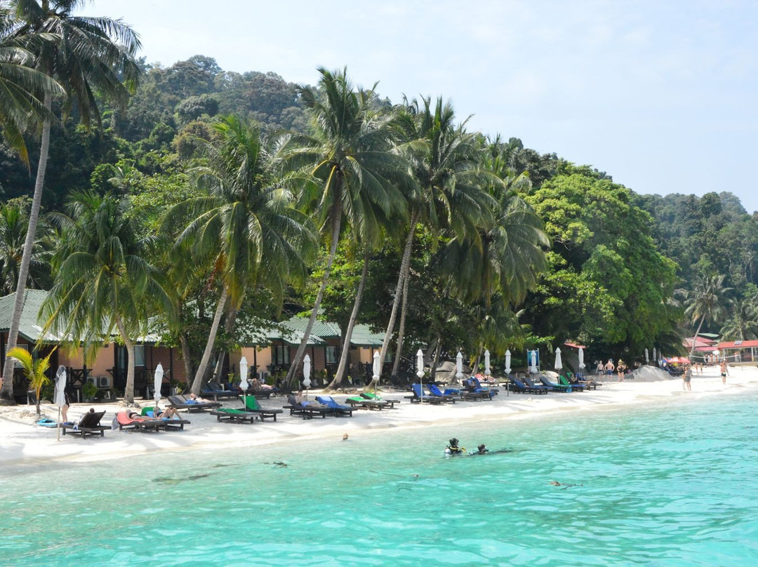 金枪鱼海湾岛屿度假村 主图
