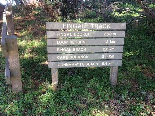Fingal Beach Walk景点图片