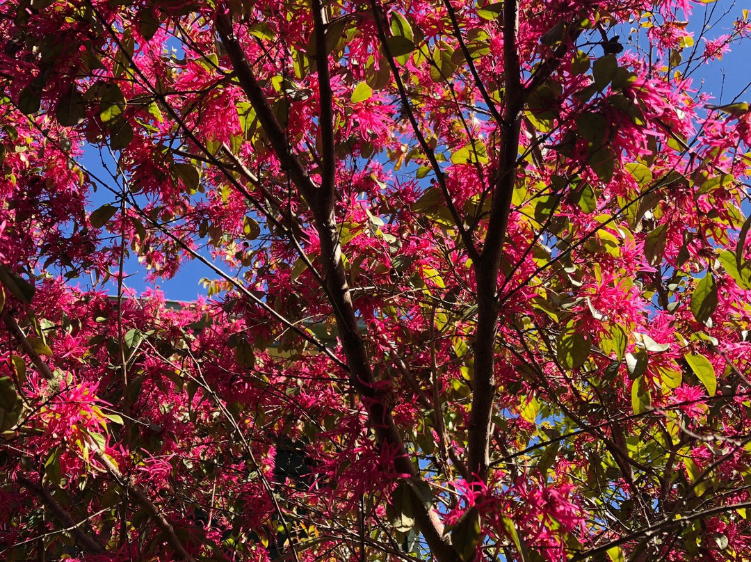 Noonaweena Accommodation主图