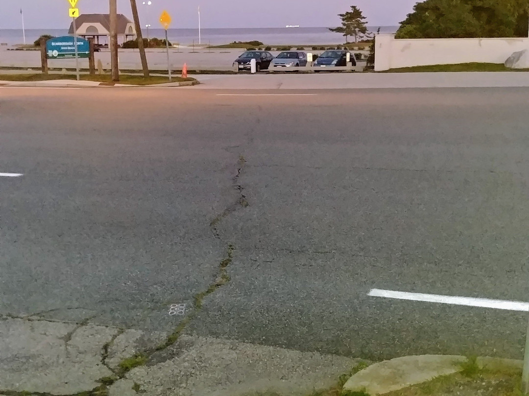 Scarborough Beach Motel主图