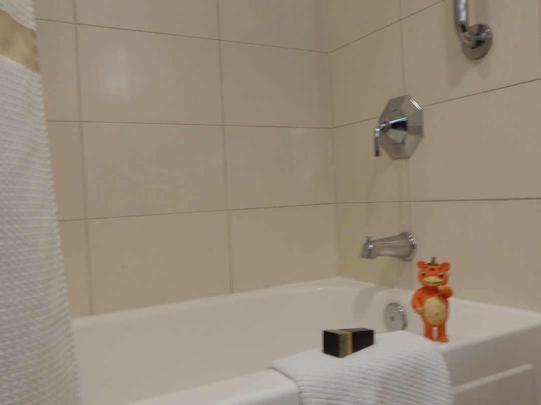 Los Angeles Marriott Burbank Airport主图