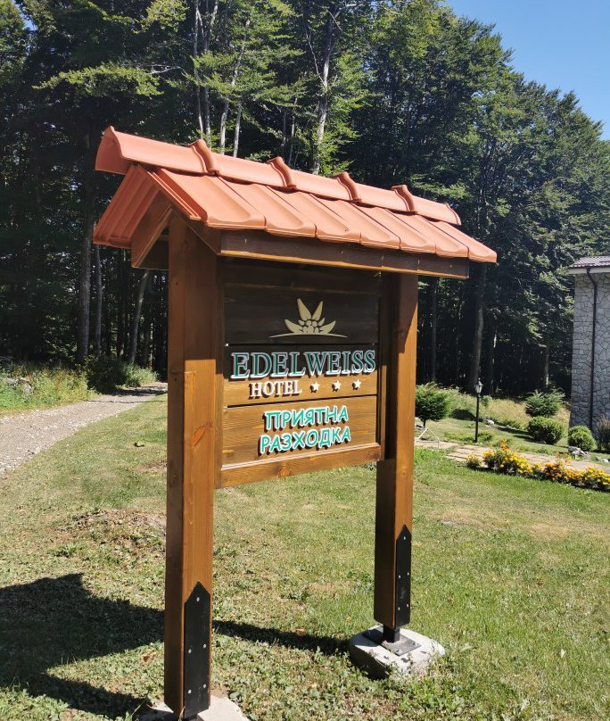Hotel Edelweiss主图