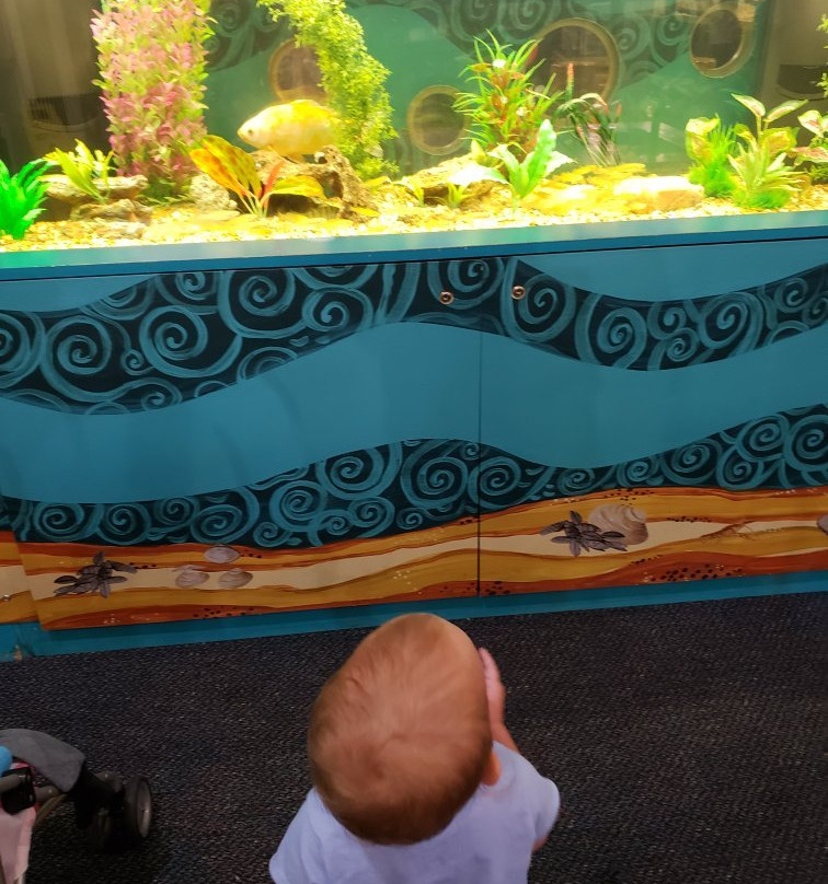 Experience Childrens Museum-伊利必去景点