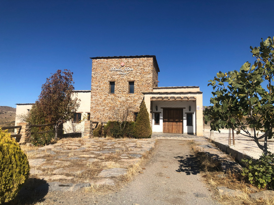 Bodega Méndez Moya-Dolar必去景点