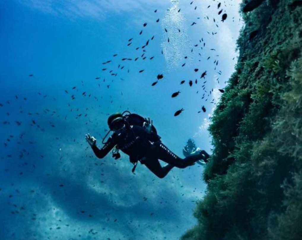 Mocean Images-Xlendi必去景点