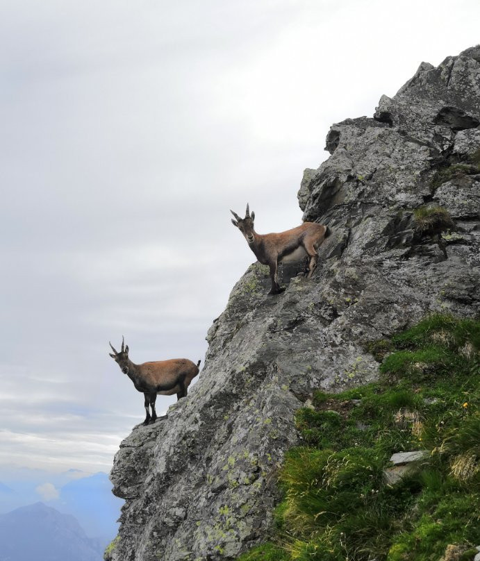 Monte Legnone-Pagnona必去景点