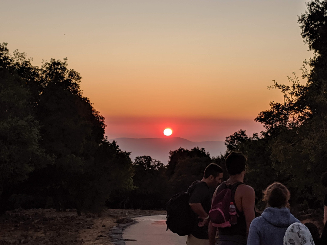 BeShvil HaYaar-Merom Golan必去景点