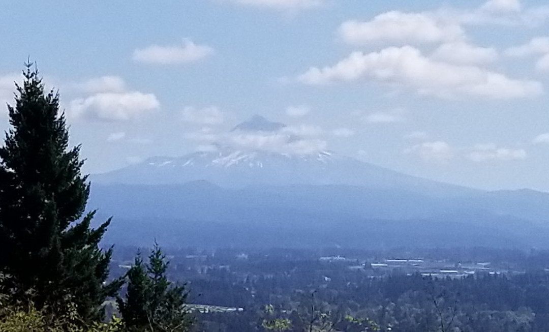 Hogan Butte Nature Park-格雷舍姆必去景点