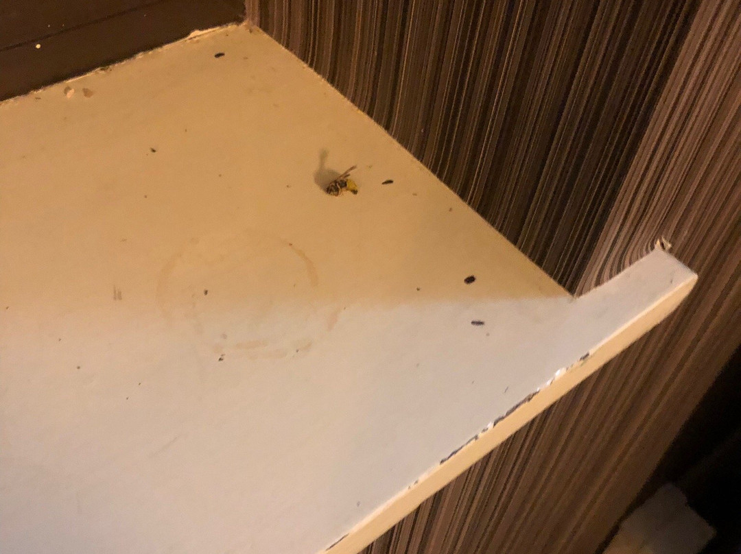 斯特拉特福德庄园酒店主图