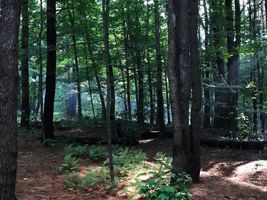 Bowman Lake State Park-Oxford必去景点