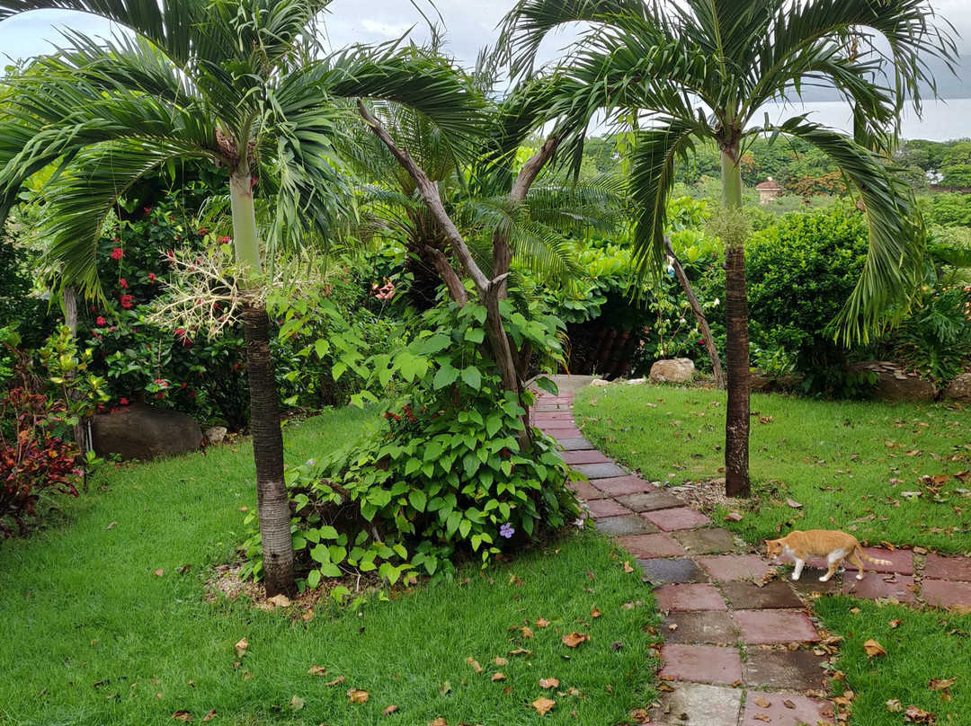 Blue Dream Kiteboarding Resort主图