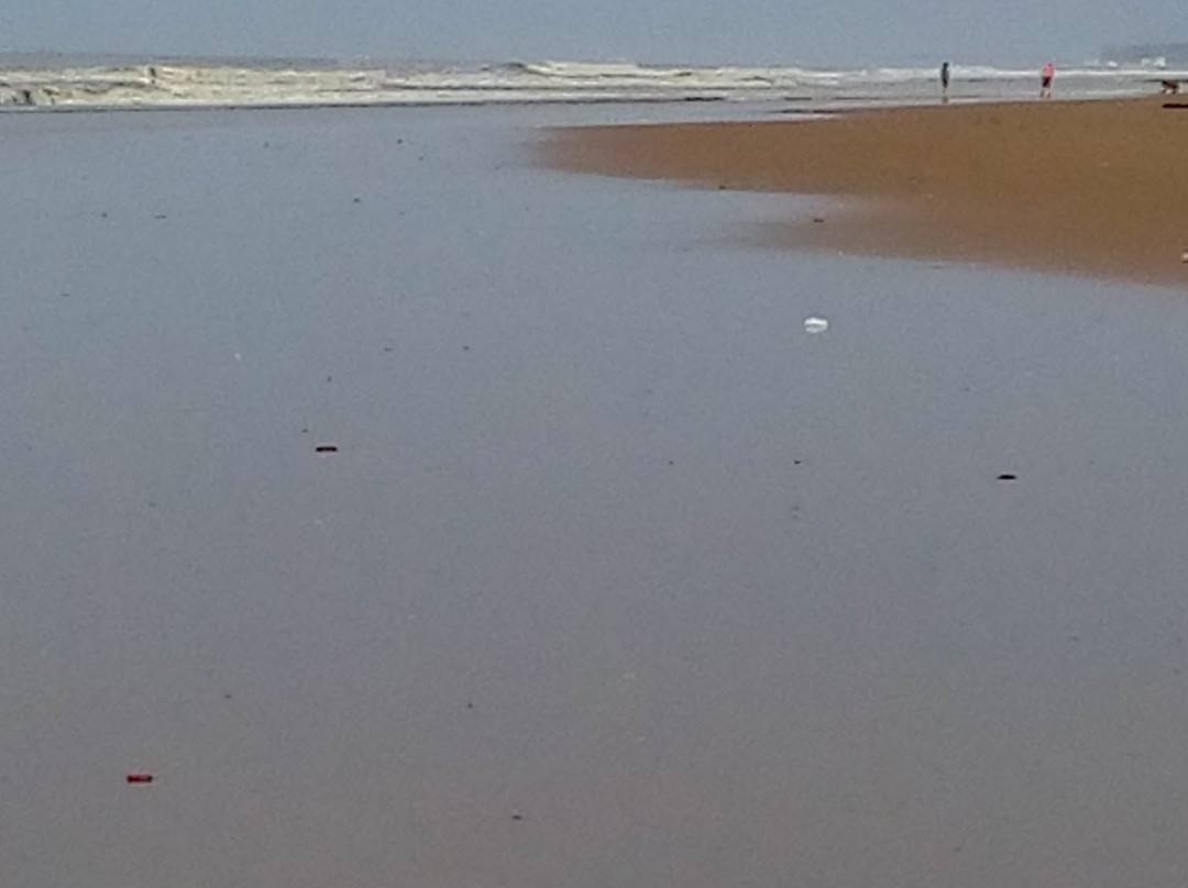 Tajpur Beach景点图片