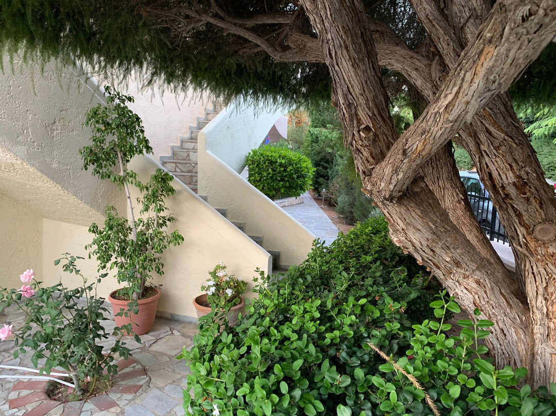 Nancy Chara Apartments主图