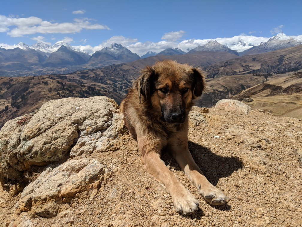 Laguna Wilcacocha-瓦拉斯必去景点