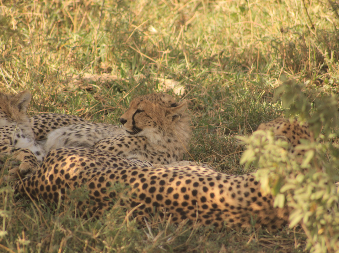 Travel Up Adventure-Los Angeles必去景点