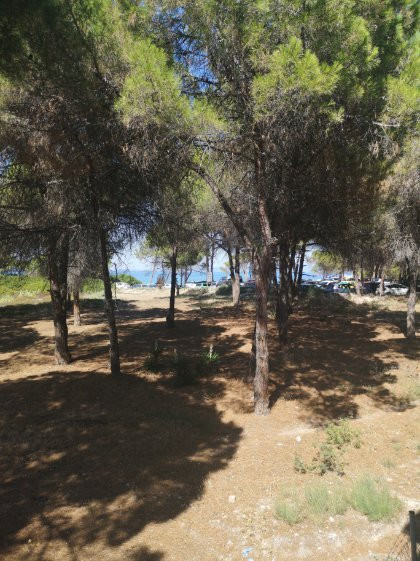 Karidi Beach Apartments主图