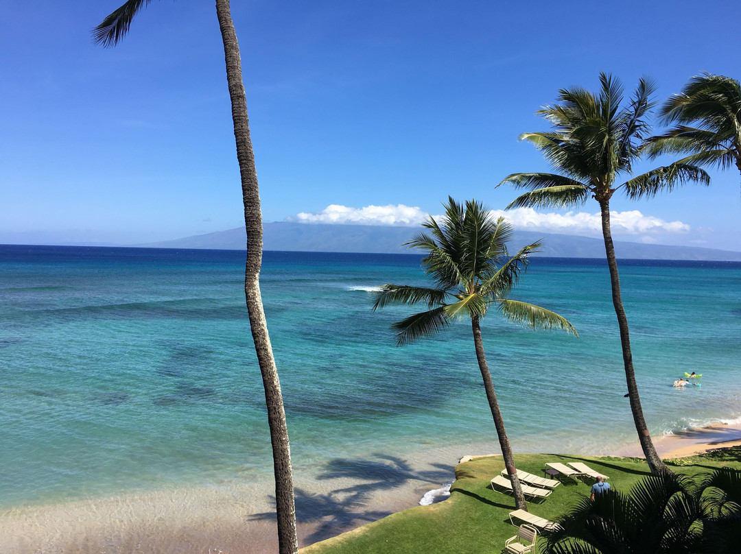 Hale Mahina Beach Resort主图