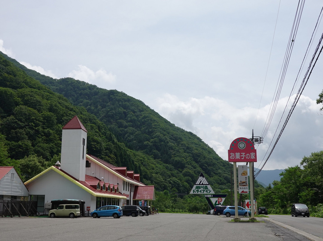 Tanigawadake Drivein景点图片