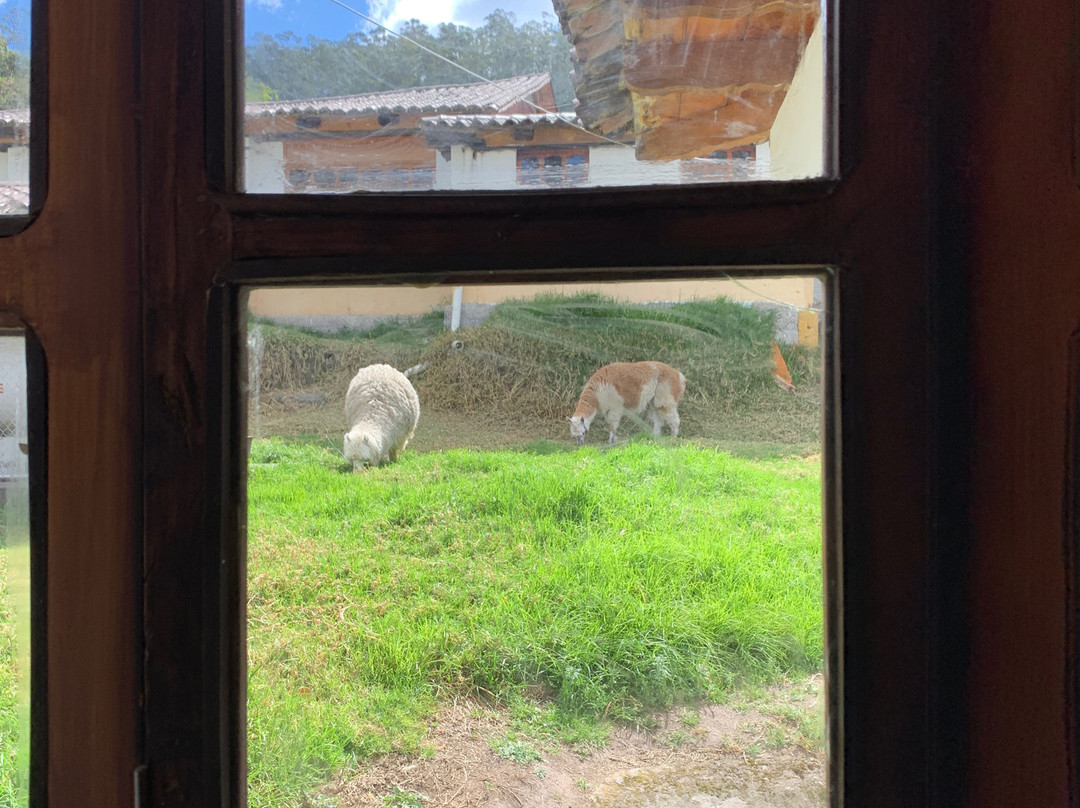 Hostería San José de Sigchos主图