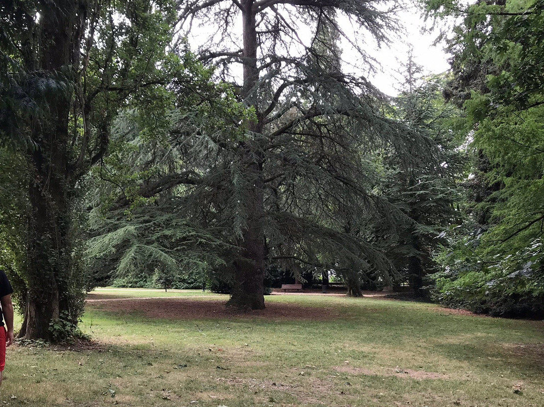 Jardin du Parc景点图片