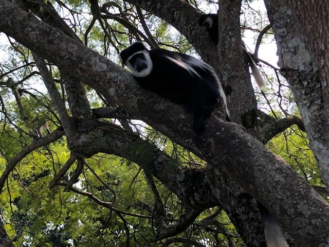 Lake Nkuruba Nature Reserve & Community Campsite主图