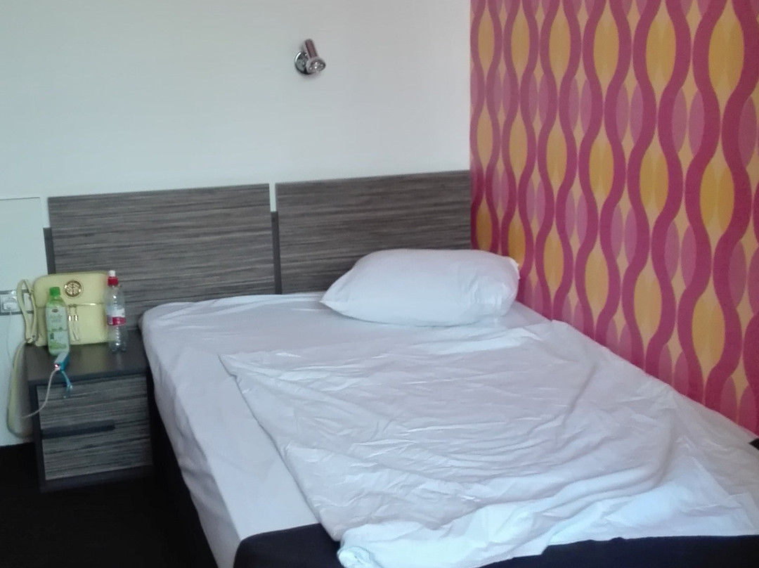 Dunav Hotel主图