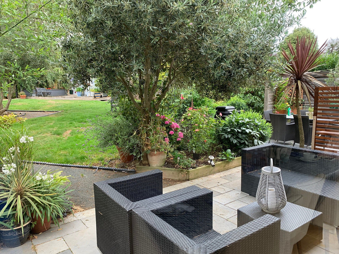 Birch House Bed and Breakfast主图