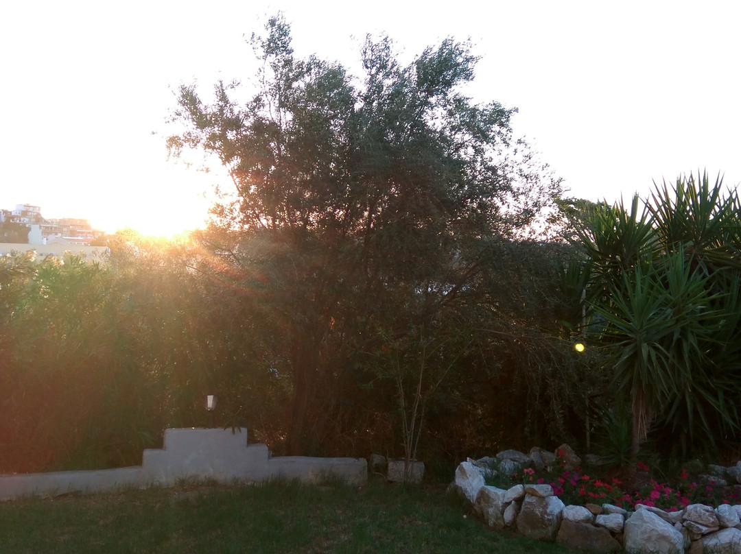 Tomato Beach Hotel主图