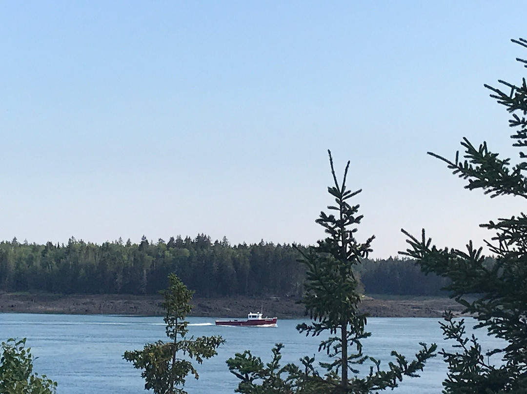 Reversing Falls Park-Pembroke必去景点