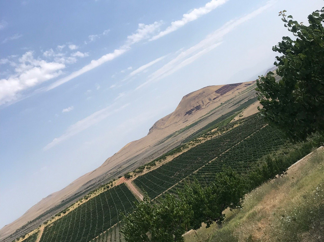 Armas Winery & Estate-Nor Yedesia必去景点