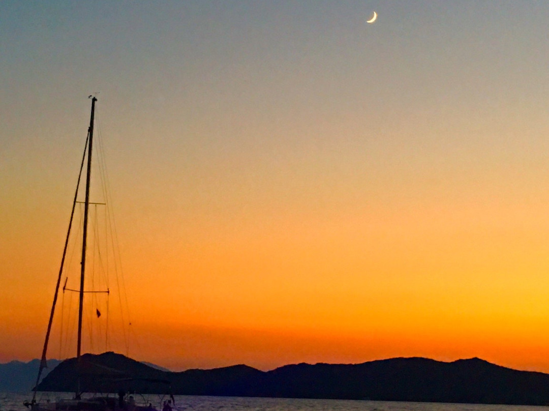 Yasemin Pansiyon主图