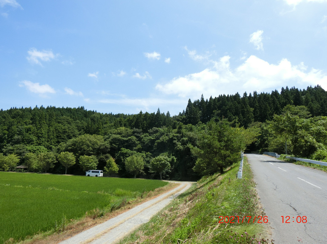 Nakaichidate Ruins景点图片