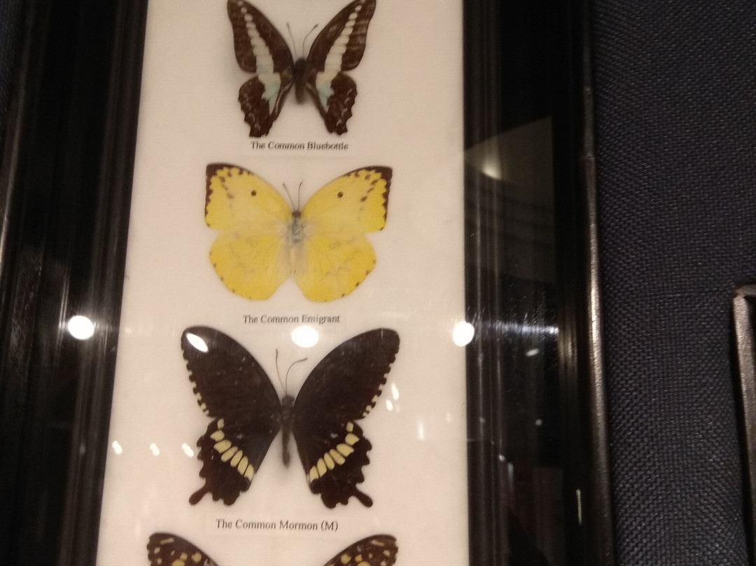 Sharjah Science Museum-沙迦必去景点