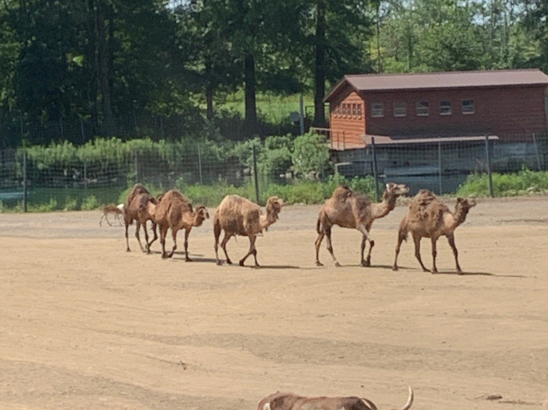 Wagon Trails Animal Park-Vienna必去景点