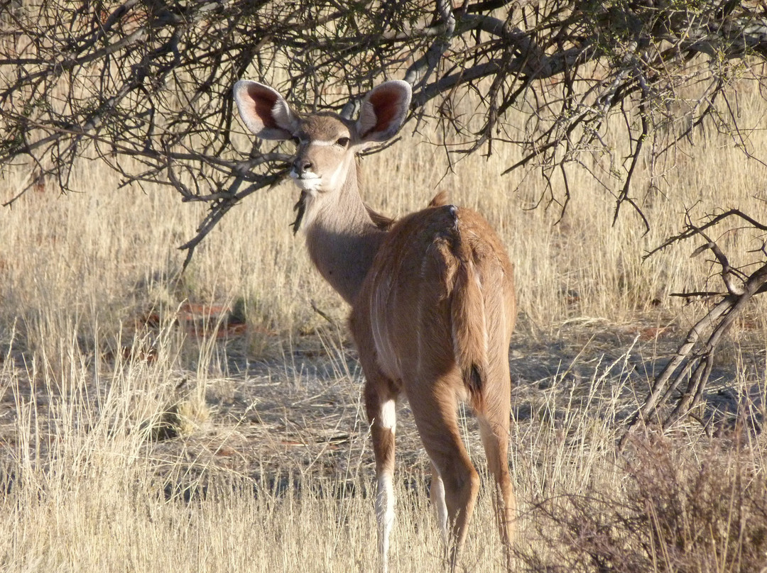 马林塔尔旅游攻略图片