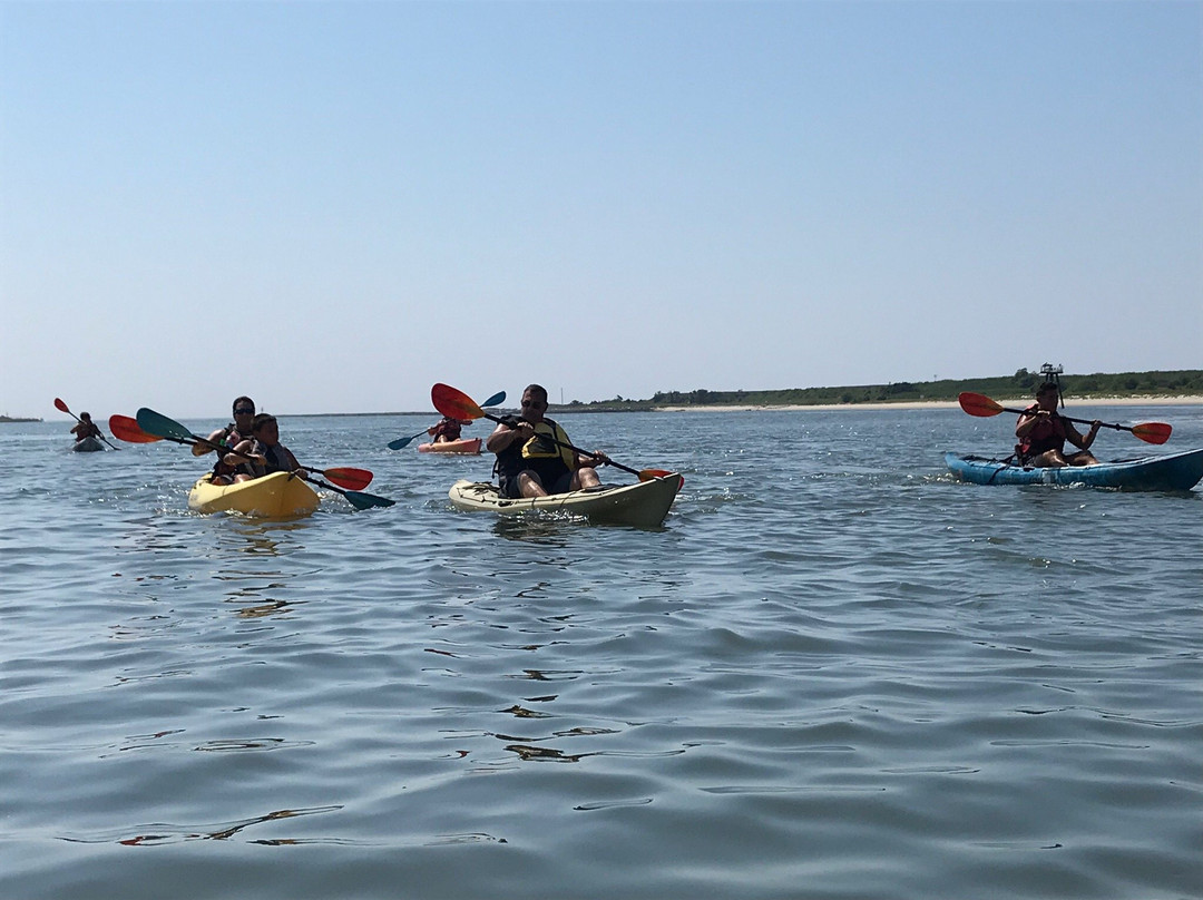 Cape Kayaks景点图片