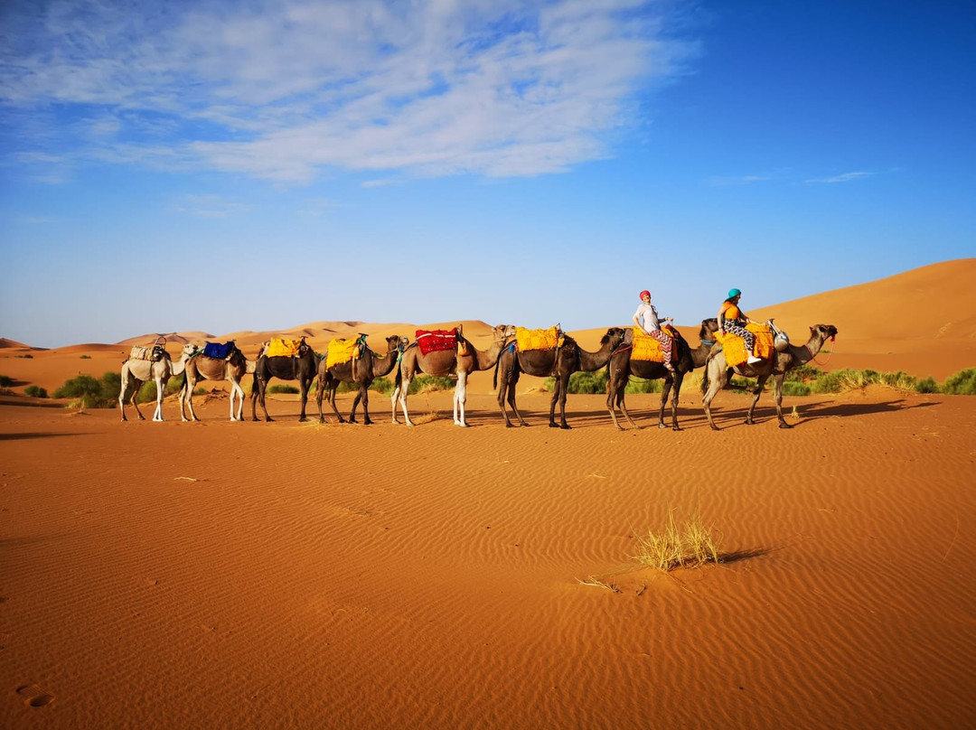 Scoprire il Marocco-马拉喀什必去景点