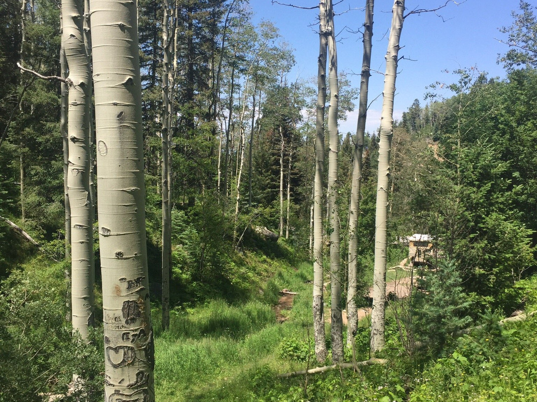 Santa Fe National Forest-新墨西哥必去景点