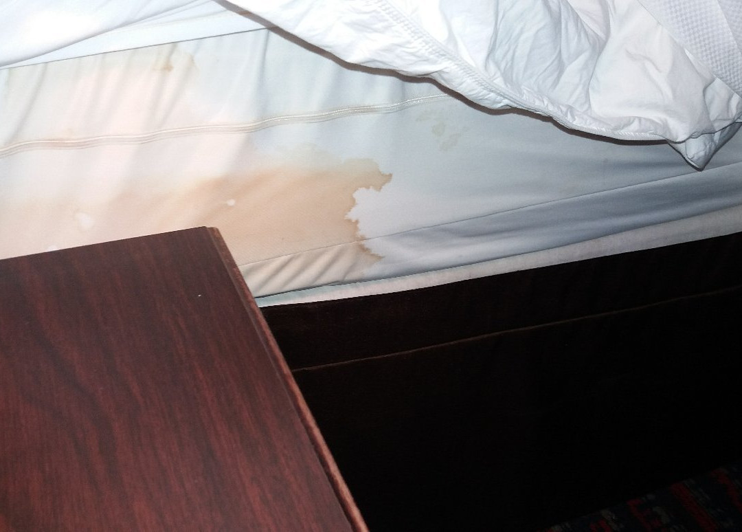 Comfort Suites主图