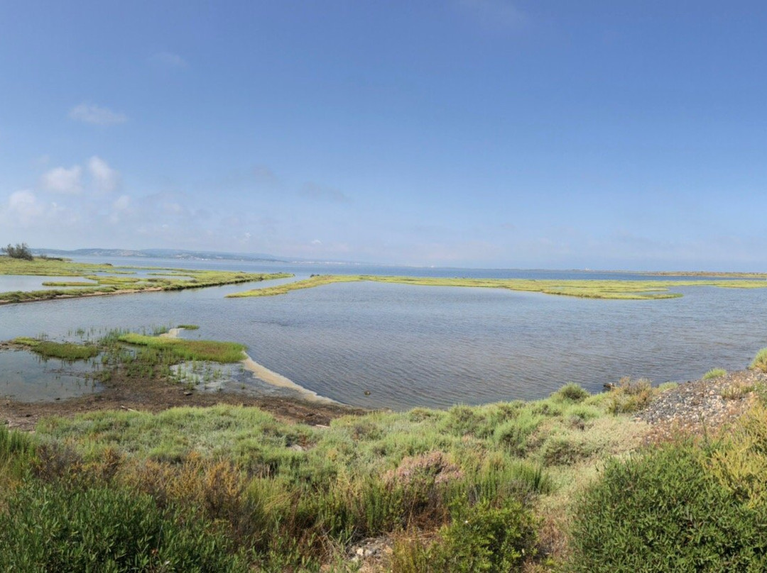 Reserve Naturelle Sainte Lucie-Port La Nouvelle必去景点