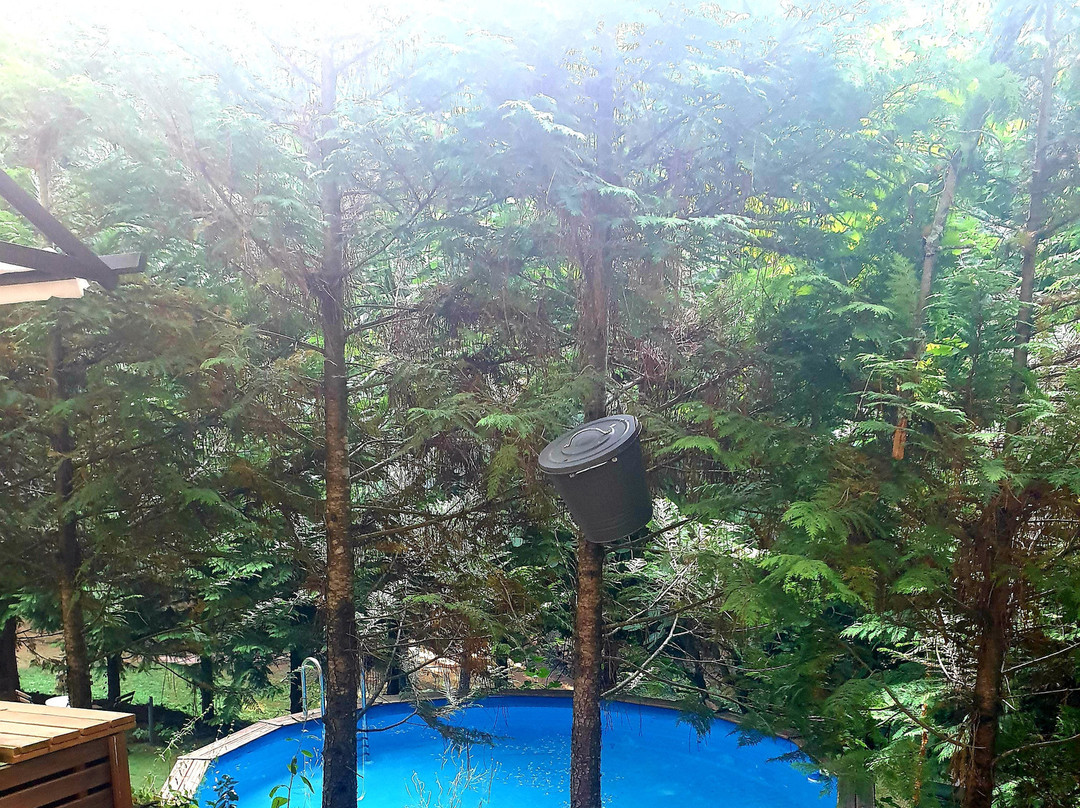 El Mas del Silenci主图