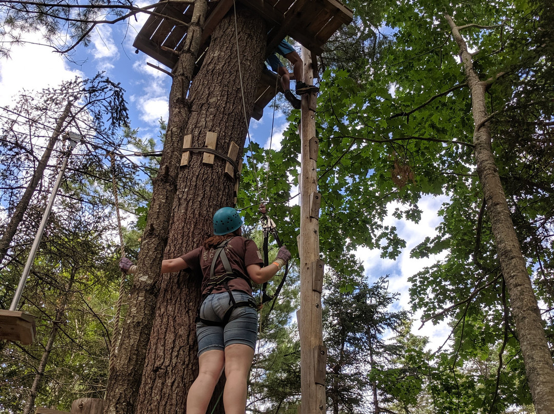 ONTREE Fun & Adventure Park-Windsor Forks必去景点