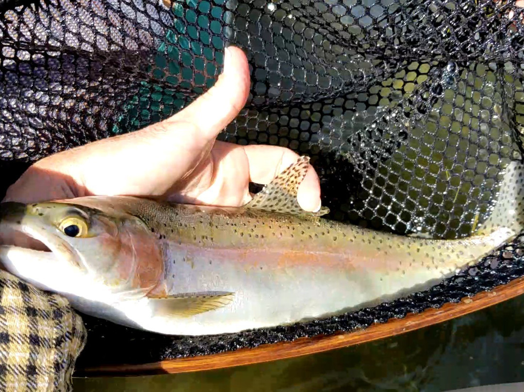 Silver Creek Outfitters-Ketchum必去景点